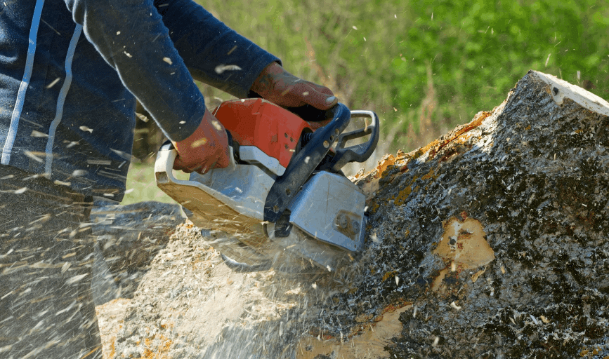 Tree Services